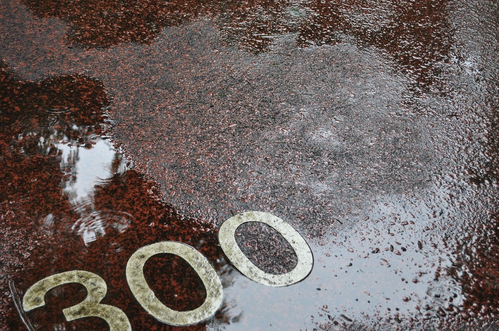 雨の日の別所沼公園(1)