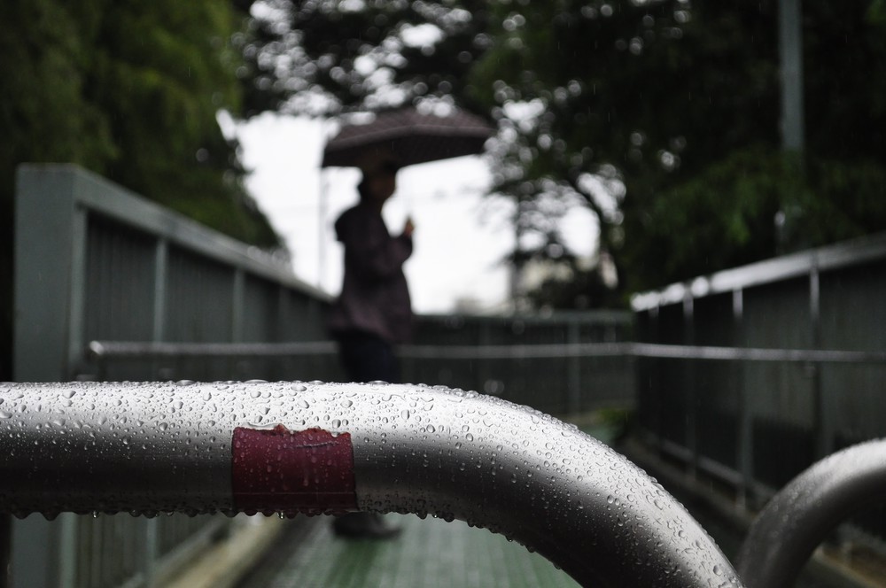 雨の日の別所沼公園(4)